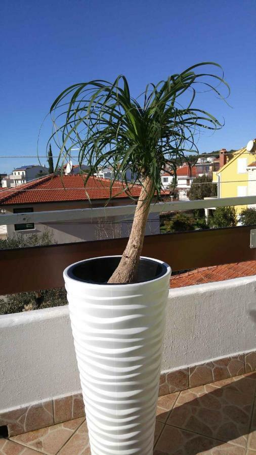 Vera Apartment 1 روغوزنيكا المظهر الخارجي الصورة